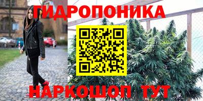 PSILOCYBIN Бугуруслан
