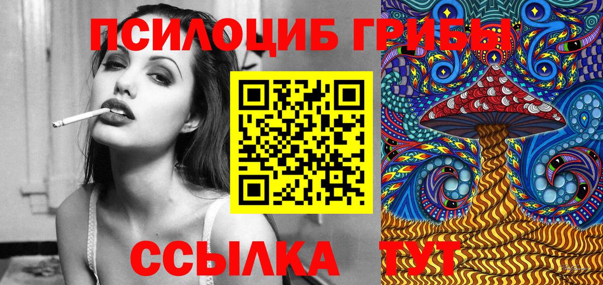 Псилоцибиновые грибы Psilocybe Новокуйбышевск