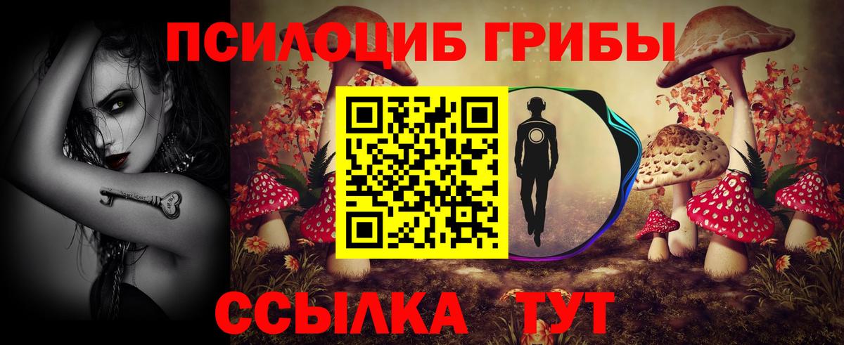 Галлюциногенные грибы мухоморы  Вход с VPN  Новокуйбышевск 
